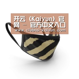 成人布口罩