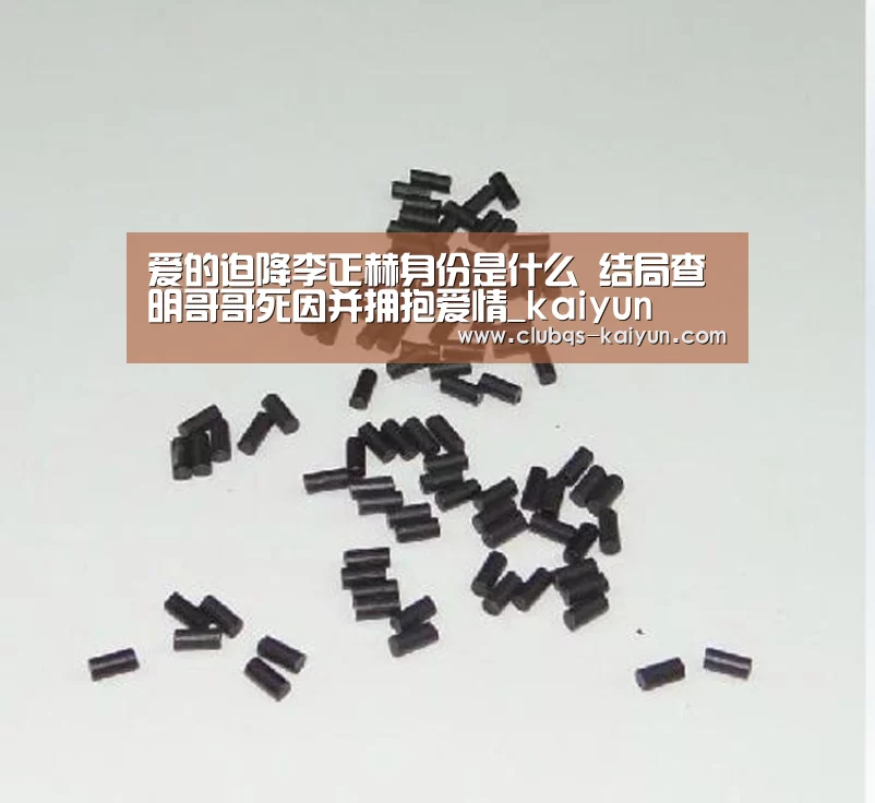 爱的迫降李正赫身份是什么 结局查明哥哥死因并拥抱爱情_kaiyun(图1) 爱的迫降李正赫身份是什么 结局查明哥哥死因并拥抱爱情_kaiyun(图1)