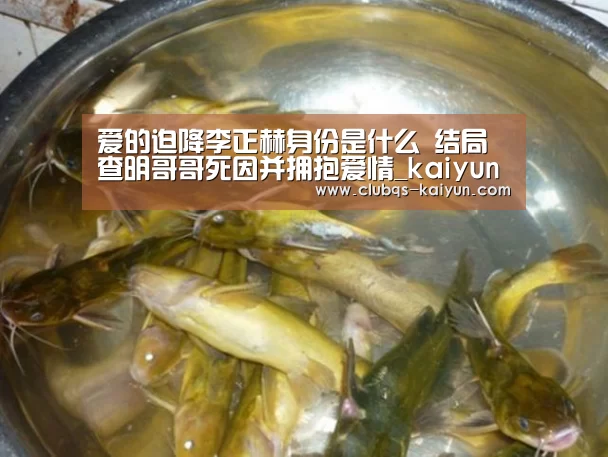 爱的迫降李正赫身份是什么 结局查明哥哥死因并拥抱爱情_kaiyun(图4) 爱的迫降李正赫身份是什么 结局查明哥哥死因并拥抱爱情_kaiyun(图4)