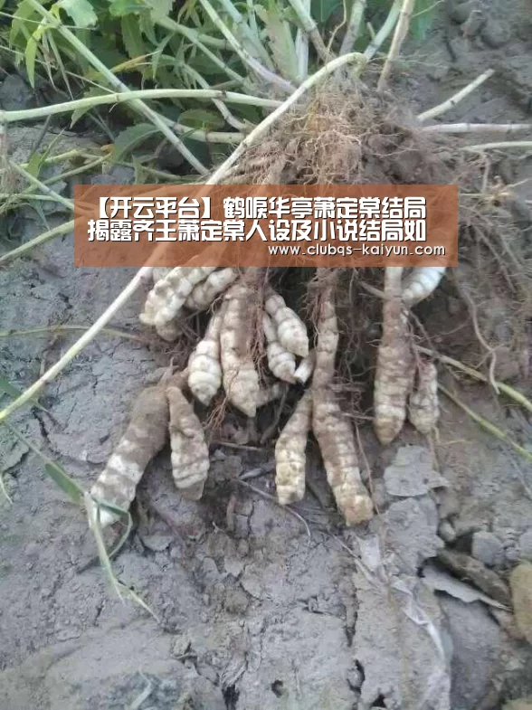 开云