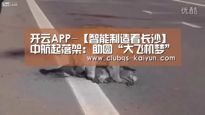 开云APP-【智能制造看长沙】中航起落架:助圆“大飞机梦”(图2) 开云